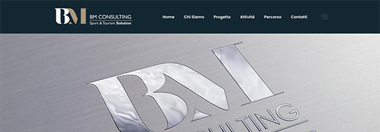 BM Consulting